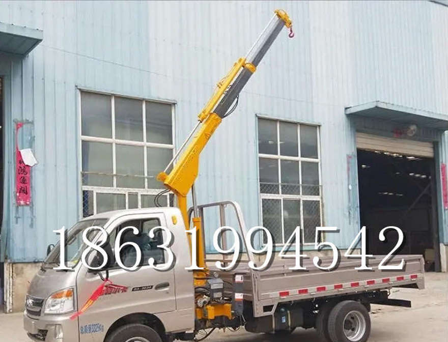 循化撒拉族自治县车载吊机车载吊机简易电动行走吊机220伏家用吊机装卸货物小型那里有加装随车吊